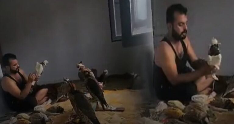 suriyeli kus cetesine gozalti turkiyede avladiklari kuslari araplara sattiklari ortaya cikti mgz6BvIA