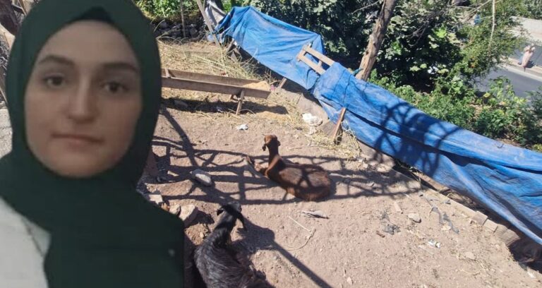 diyarbakirda kahreden olum keciye yardim etmek isterken hayatini kaybetti dTrnUnvO