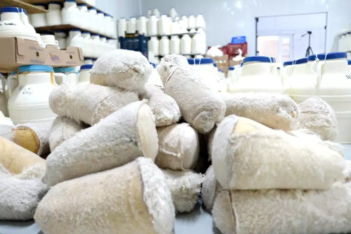 erzincan tulum peynirinin essiz lezzeti OGAjfQ11