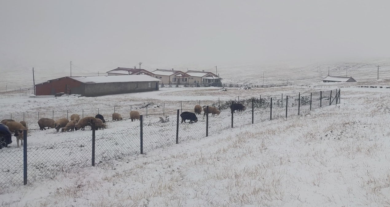 eylul ortasinda kar 4 sehri bembeyaz yapti 2TDxTSdK
