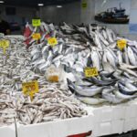 hamsi istavrit barbun ve mezgit bollugu basladi tezgahlarda fiyatlar 100 liradan basliyor w86mqJNR