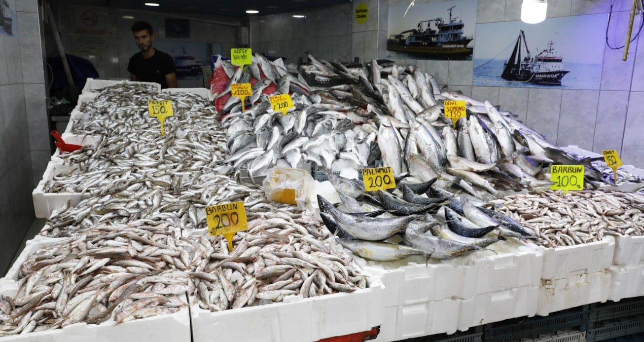 hamsi istavrit barbun ve mezgit bollugu basladi tezgahlarda fiyatlar 100 liradan basliyor w86mqJNR