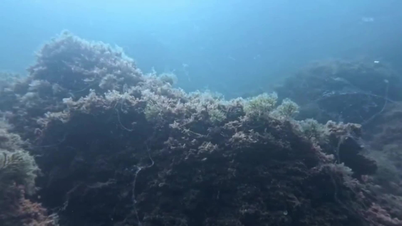 kabus geri dondu uzman isim uyardi acilen harekete gecilmeli UgqpyjcK