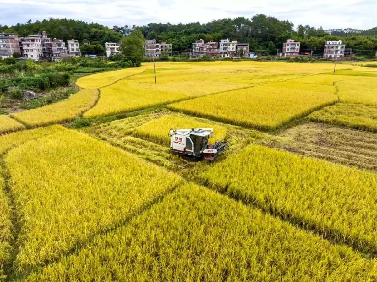 ayazin dususu sonbaharin son gunu iq9ff3ZD.jpg