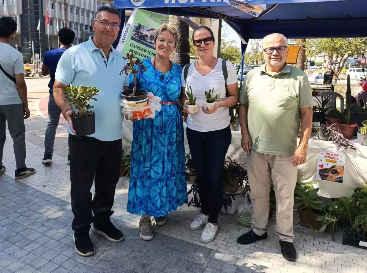 emekli ogretmenin sokak hayvanlarina destek kermesi Y8Ig2Q9g