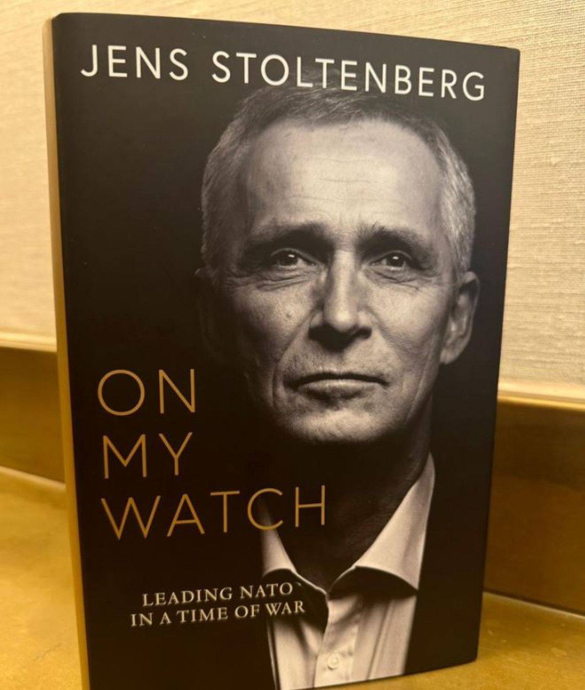 Stoltenberg ve Türkiye