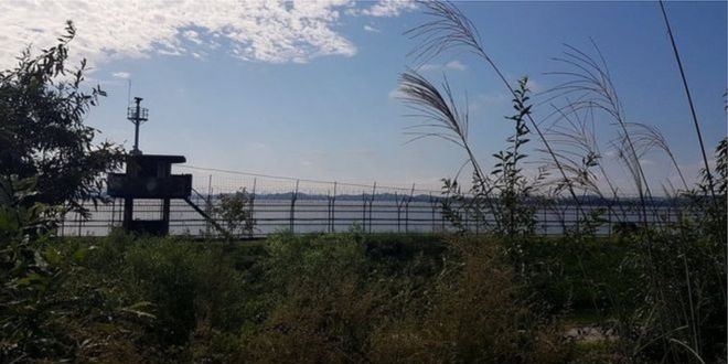 kuzey koreli bir asker yuksek guvenlikli sinirdan guney koreye gecti m9HNKV5G.jpg