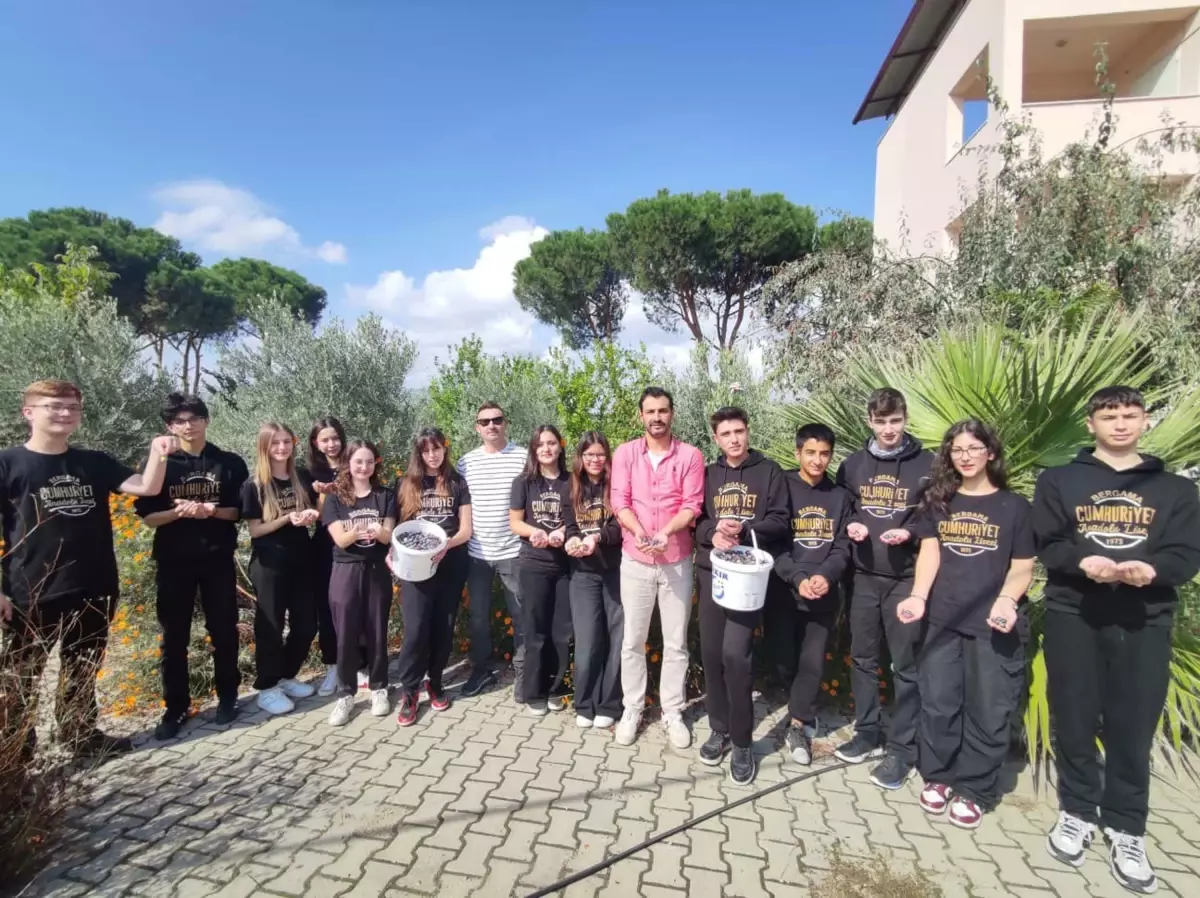 ogrenciler zeytin hasadi yaparak dogayla baglanti kurdu XB67wxG3.jpg