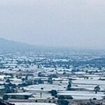 sarigolde uzum ureticileri ihracat icin hasada cagri iyi gy8j3bQI.jpg