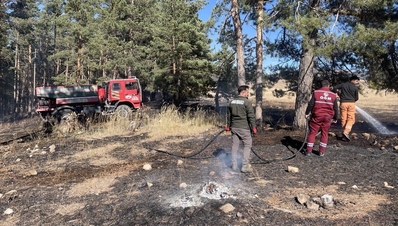 sarikamista cikan orman yangininda yaklasik 1 hektar alan zarar gordu MxjtuCHu