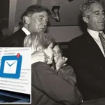abdde-jeffrey-epsteinin-donald-trumpa-yonelik-iddialarda-bulundugu-e-postalar-yayimlandi-ux5XMzy2.webp