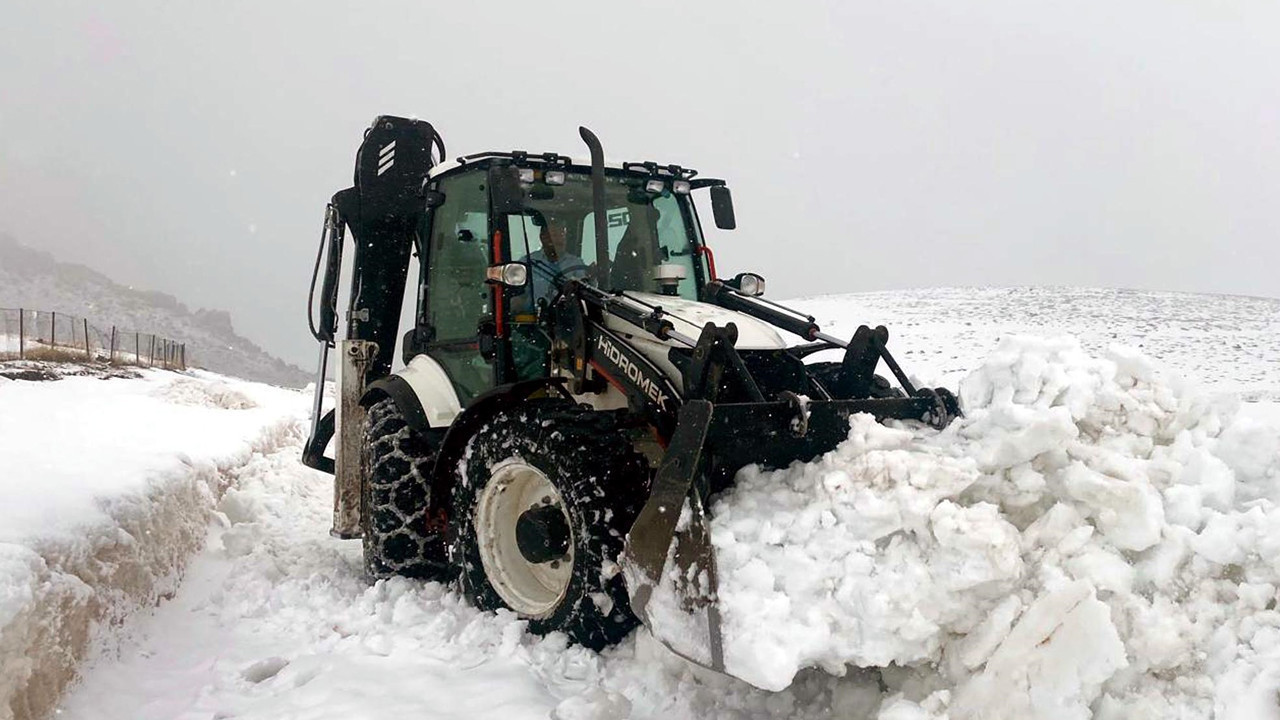 Iğdır’da İki Mevsim Bir Arada: Kar Yolları Kapadı, Kayısılar Çiçek Açtı