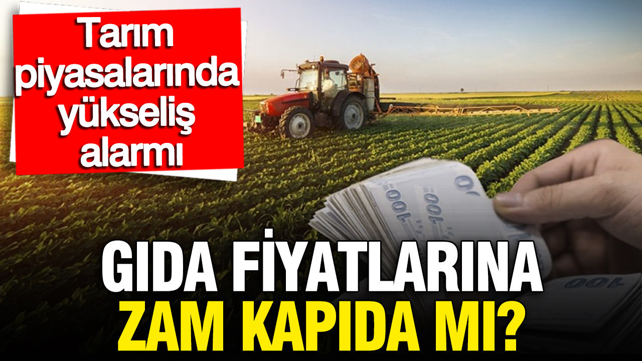 gida-fiyatlarinda-zam-kapida-mi-bugday-gubre-pirincte-yukselis-alarmi-j9r7jfR3