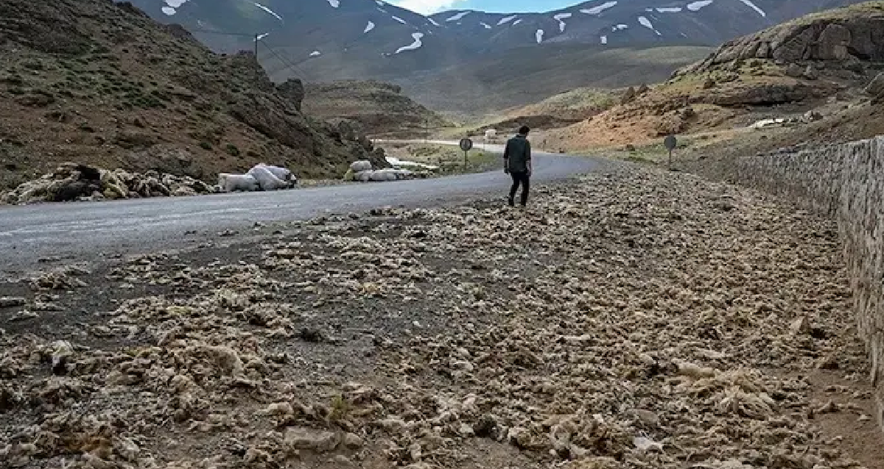 Vanda tonlarcasi dogaya birakildi ama buyuk felakete yol acacak swpeHIBF